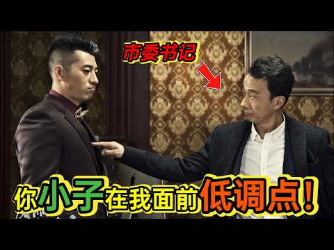 小官巨贪黄金铺满游泳池，看公职人员如何一步步被财色腐蚀的书一口气看完扫黑除恶《风雨送春归》