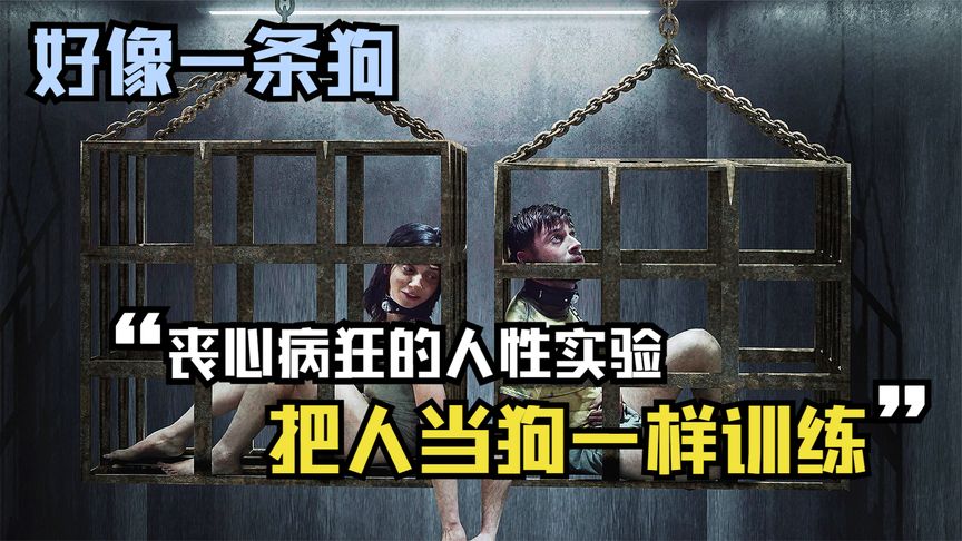 一場恐怖的實驗，把年輕人抓來當狗養，結果卻因此全部喪命