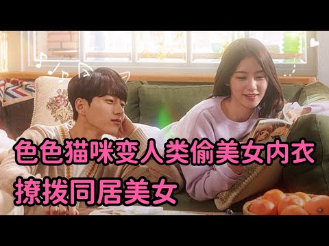 色猫变身人类偷美女内衣，撩拨同居美女！甜炸少女心！一口气看完韩剧《你回来了