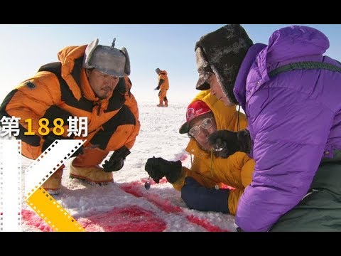 在南极，最重要的事就是吃！吃！吃！《南极料理人》