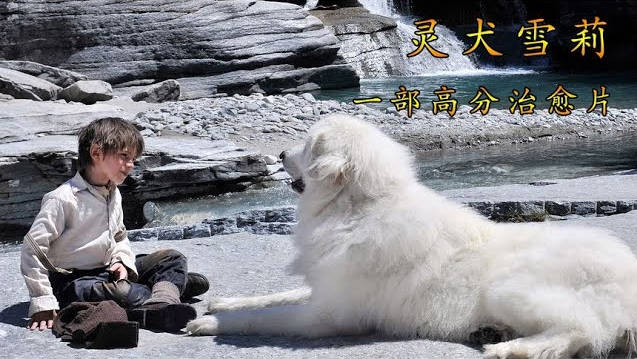 法国票房冠军，一上映就火爆，高分治愈系冒险片