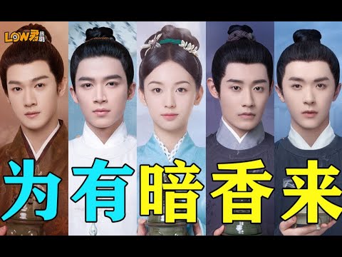 上辈子恋爱脑，这辈子断情绝爱！结果一群男人围上来！《为有暗香来》