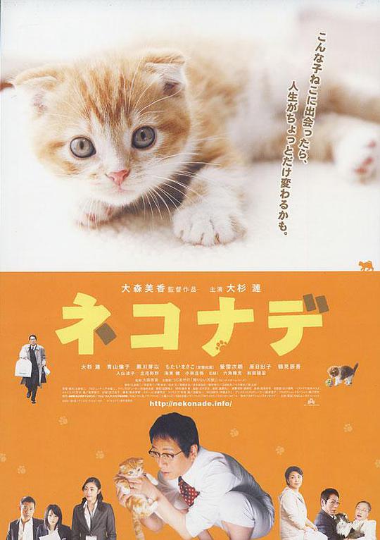 小猫(,奇缘