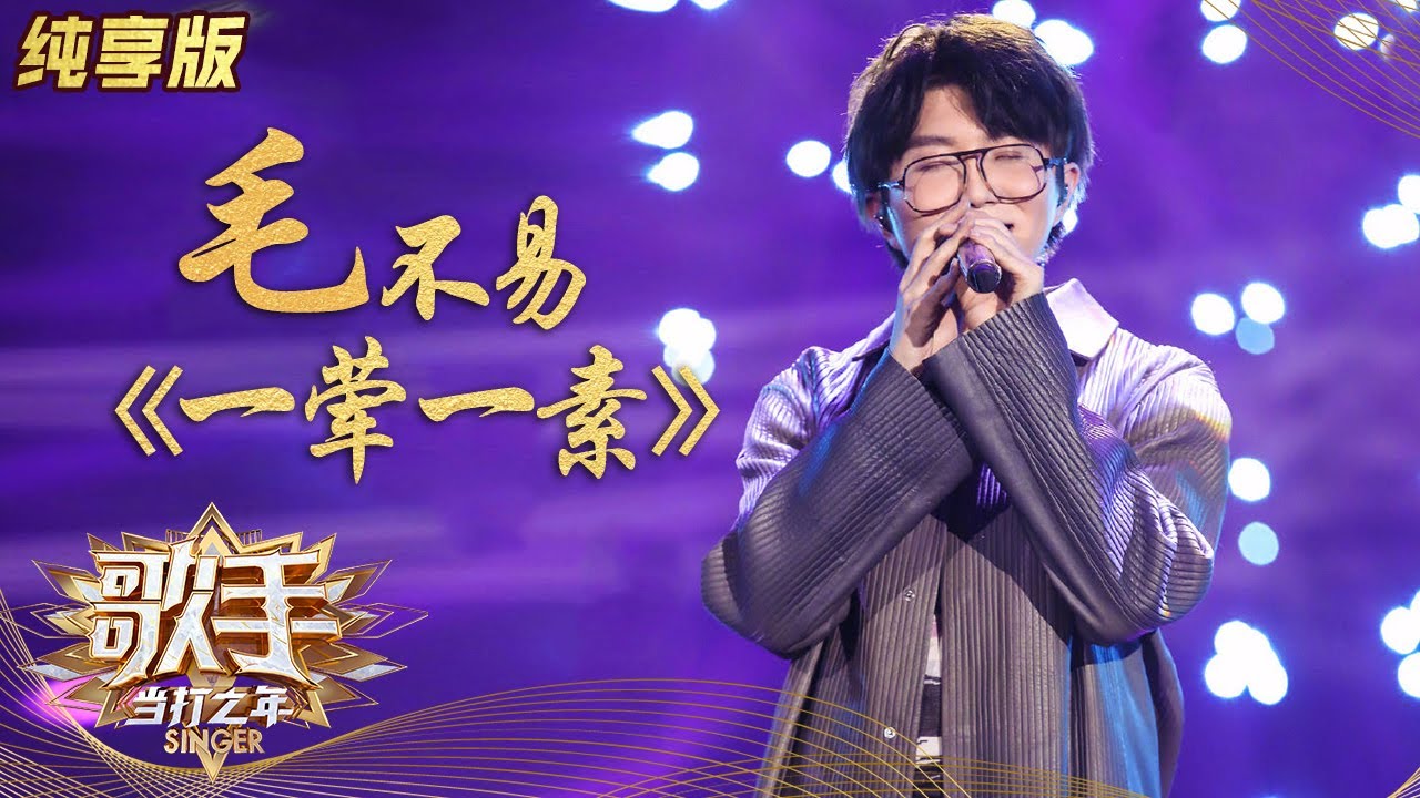 一荤一素-毛不易
