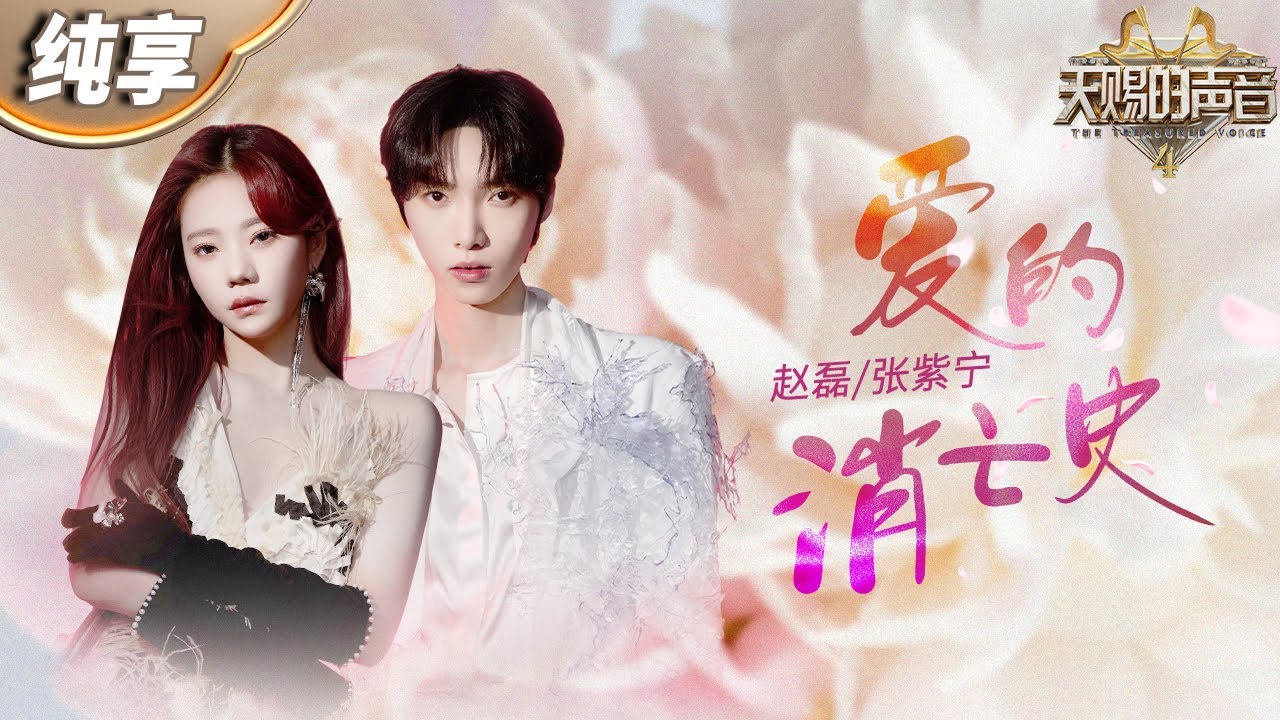 爱的消亡史-张紫宁/赵磊