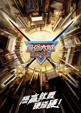 最强大脑第10季