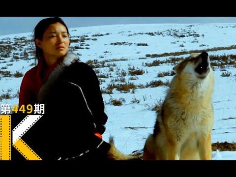 中国女孩养大了一只狼，在海拔3800米送它重返狼群《重返·狼群》