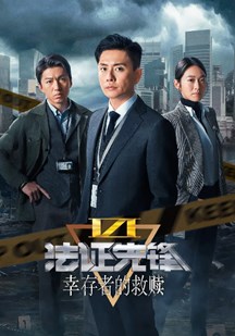 法证先锋6