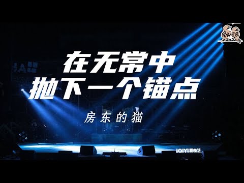 在无常中抛下一个锚点-房东的猫
