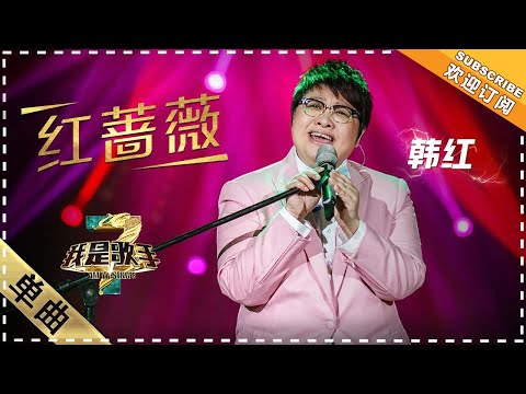 红蔷薇--韩红