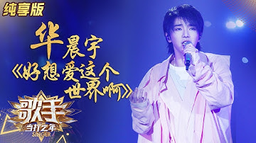 好想爱这个世界啊-华晨宇