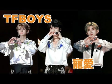 宠爱-TFBOYS
