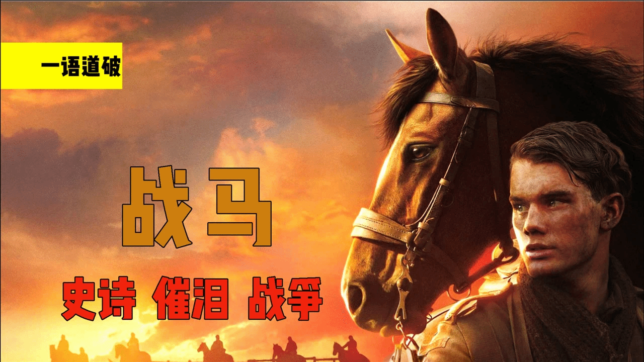 一部超级催泪的史诗级战争片，主角不是人，却充满了人性！速看《战马》