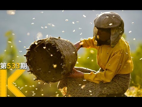 比灾难更可怕的，是人心。2020奥斯卡电影《蜂蜜之地》