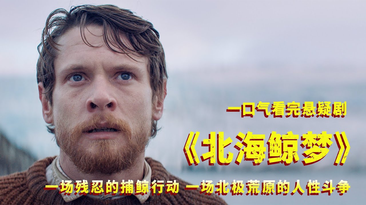 一口气看完悬疑剧《北海鲸梦》，一场捕鲸行动考验出的真实人性！