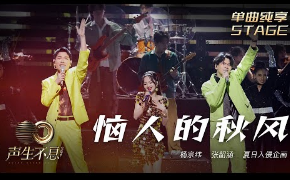 恼人的秋风-杨宗纬/张韶涵/夏日入侵企画