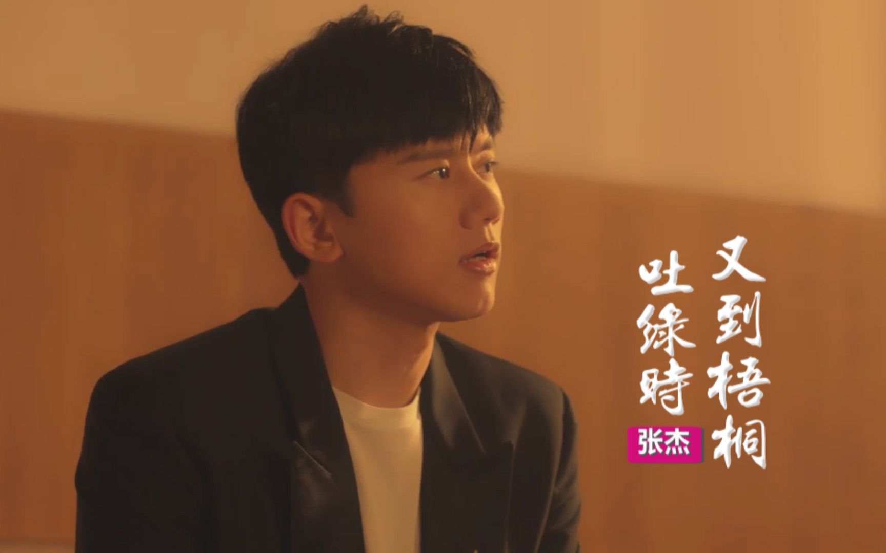 又到梧桐吐绿时-张杰