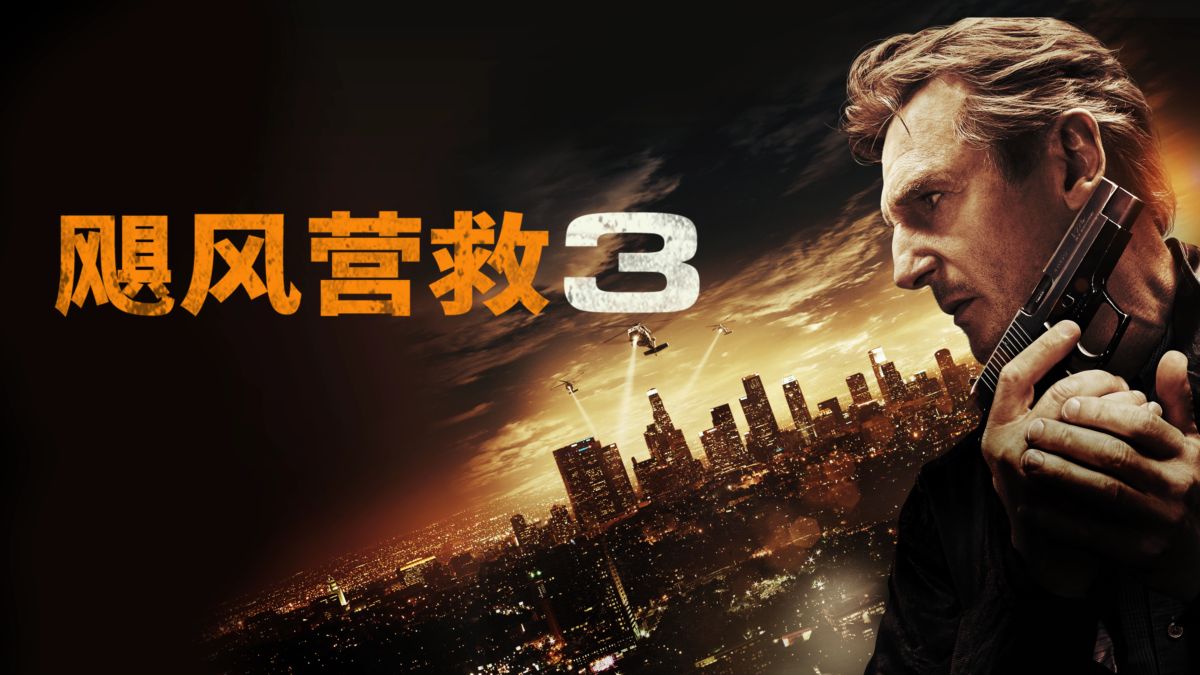 特种老兵杀入黑帮老巢，单枪匹敌血洗整个黑帮组织，连姆·尼森主演！