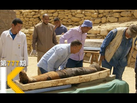 超大只猫咪木乃伊？实拍4000年前的《塞加拉陵墓》