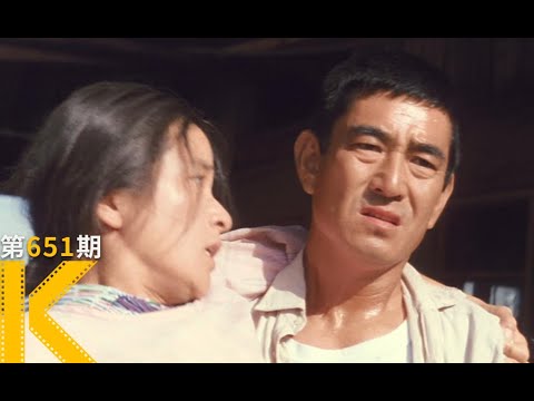 一个来路不明的男人，住进寡妇家之后《远山的呼唤》