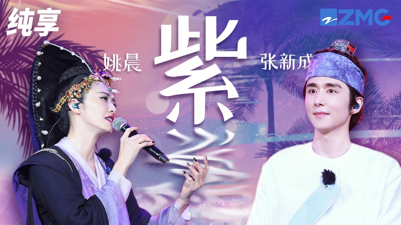 紫-张新成/姚晨