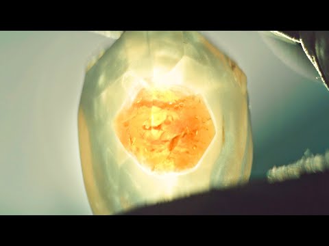 人类来到神秘星球，从生物体内开采宝石，每一颗都价值连城！《致命勘探》