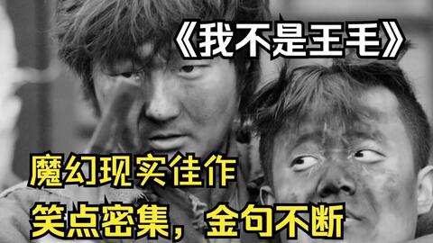 2014年上映，一部被埋没的国产电影，被禁之前必须要推荐它！速看小成本喜剧片《我不是王毛》