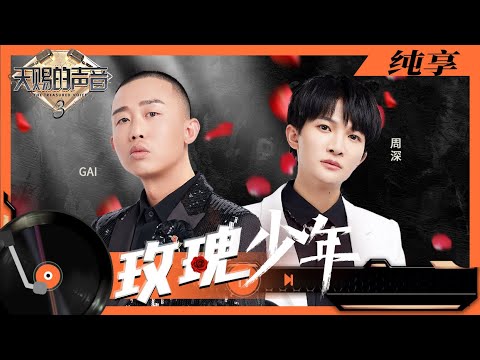 玫瑰少年-周深/周延