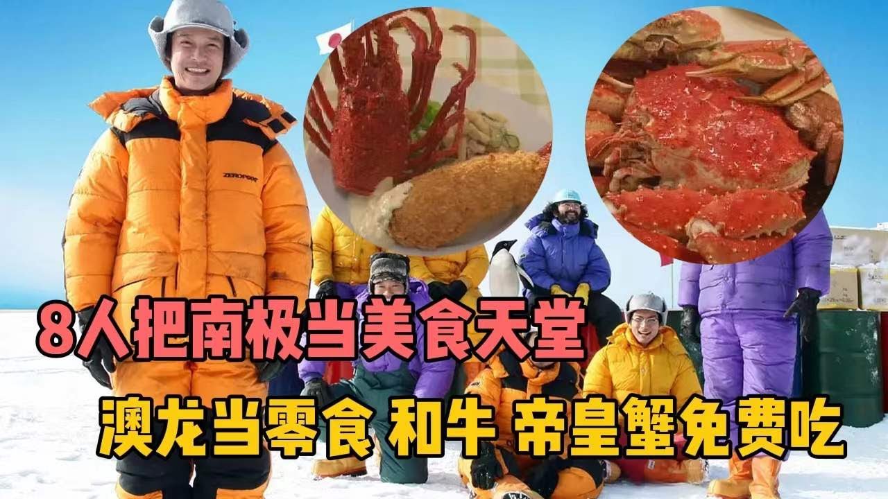 在南极过年是什么感觉？真实事件改编，暖心又暖胃的日本电影
