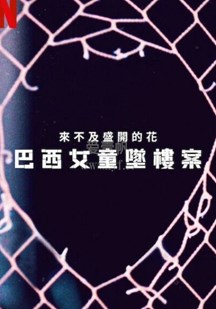 来不及盛开的花：巴西女童坠楼案