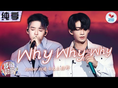 WhyWhyWhy-刘逸云/王赫野