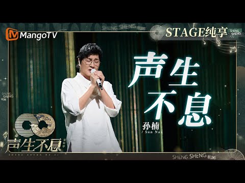 声生不息--孙楠