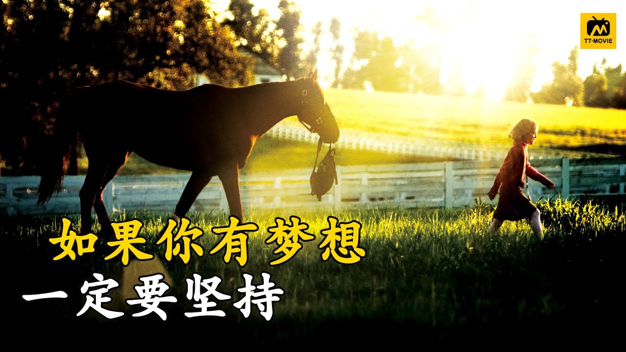 百万赛马受伤，险被无情处死，历经坎坷重回王者之巅！