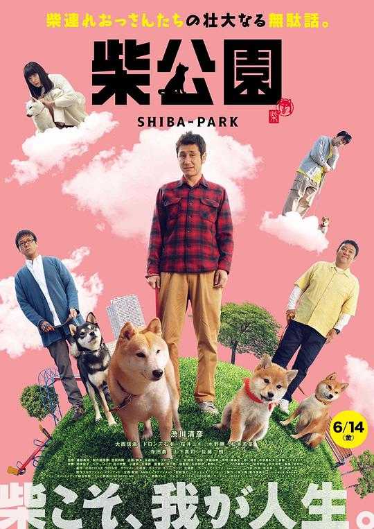 柴犬?*公园