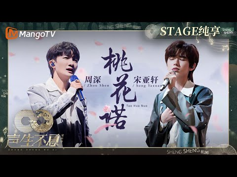 桃花诺-周深/宋亚轩