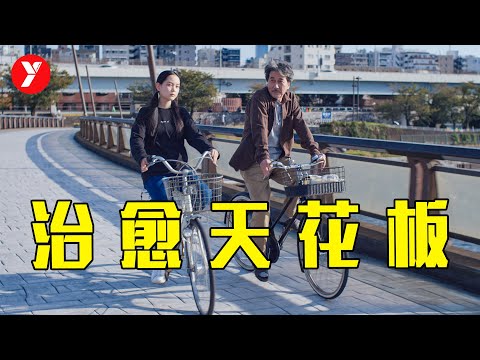 2023年治愈天花板，好久没见到这样的日本电影了《完美的日子》