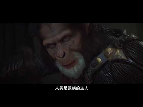 人类竟被猩猩奴役5分钟看完科幻片《决战猩球》