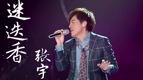 迷迭香-张宇