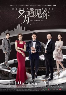 只为遇见你网络版