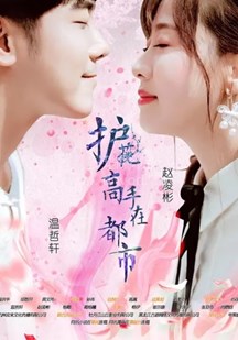 护花=](高手在都市