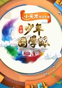 少年国学派