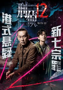 刑侦12