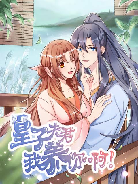 皇子夫君，我养你啊动态漫画