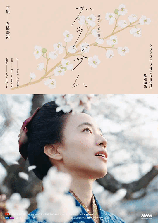 花朵盛开