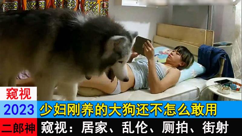 少妇刚养的大狗还不怎么敢用