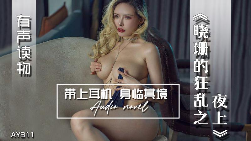 AY311-有声小说-晓珊的狂乱之夜上