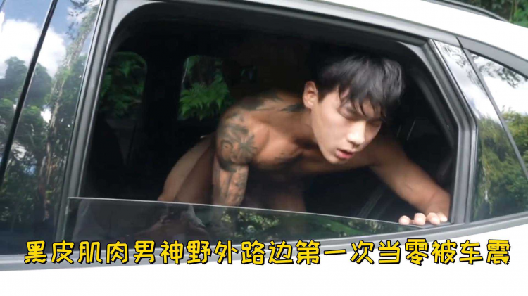 黑皮肌肉男神野外路边第一次当零被车震