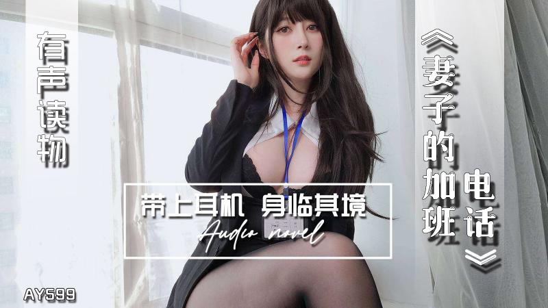 AY599-有声小说-妻子的加班电话