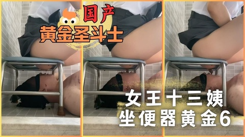 女王十三姨坐便器黄金6
