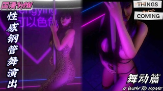 VAM 性感钢管舞演出